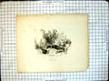 Original Old Antique Print Ruffs Plover N Feilding Etched Elizabeth Scott
