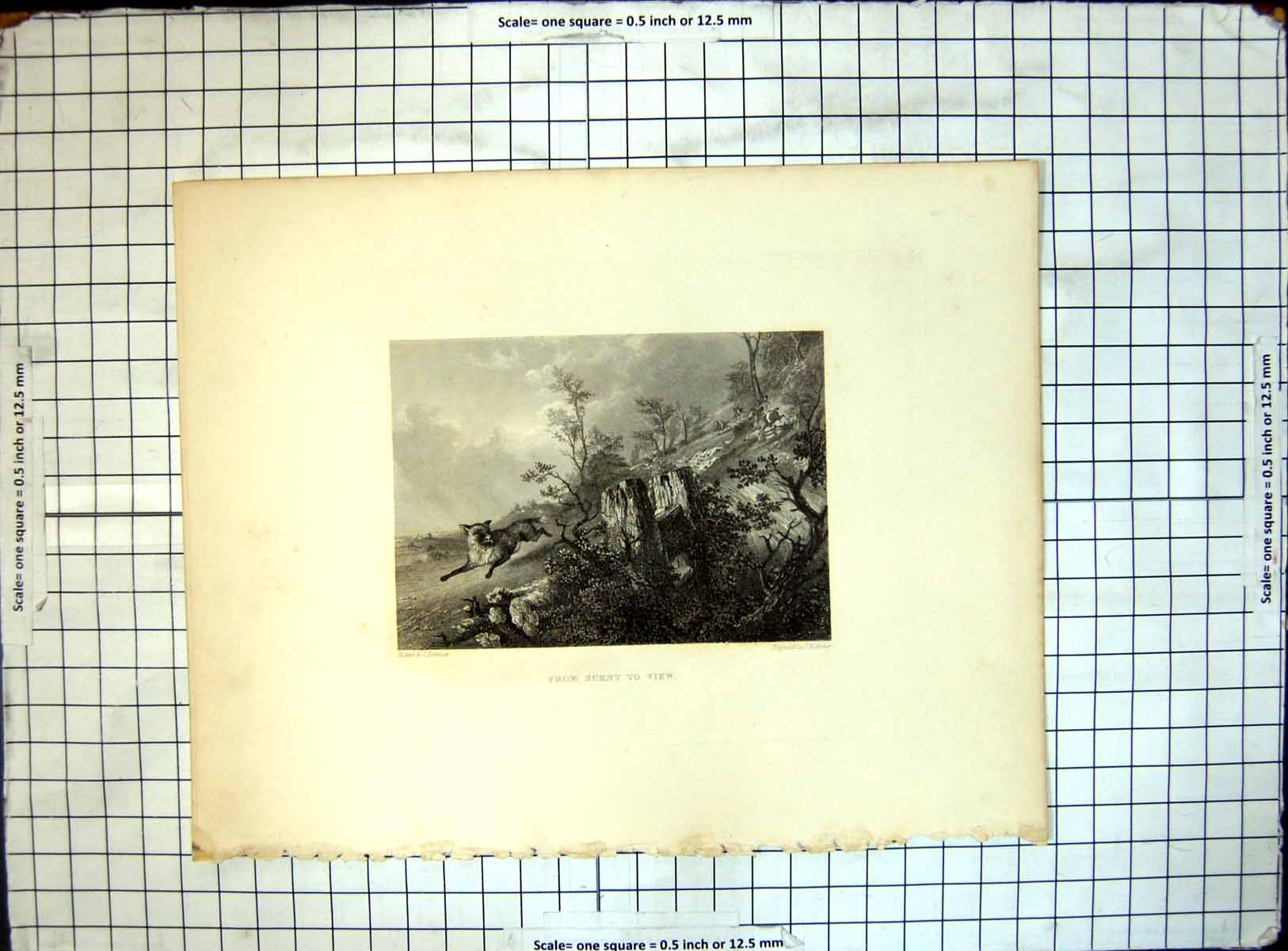 Old Antique Print From Scent To View Jw Archer Fox Chased Horses Hounds