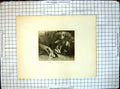 Original Old Antique Print Springing Wild Duck Dog