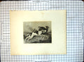 Original Old Antique Print Deer Hunting Horse Hound