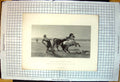 Antique Print Ulysses Ploughing Sea Shore From Picture Horses Fallen Child