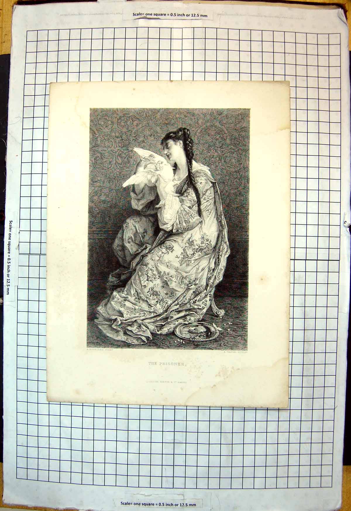 Old Print Prisoner White Dove Hands Maiden Floral Dress Seated Plate Food
