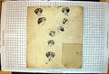 Old Print Packing Board Illustrated Ladies Heads Various Hairstyles Bows