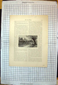 Antique Print Bucks Clewer Backwater Windsor Castle Across River Trees 1883