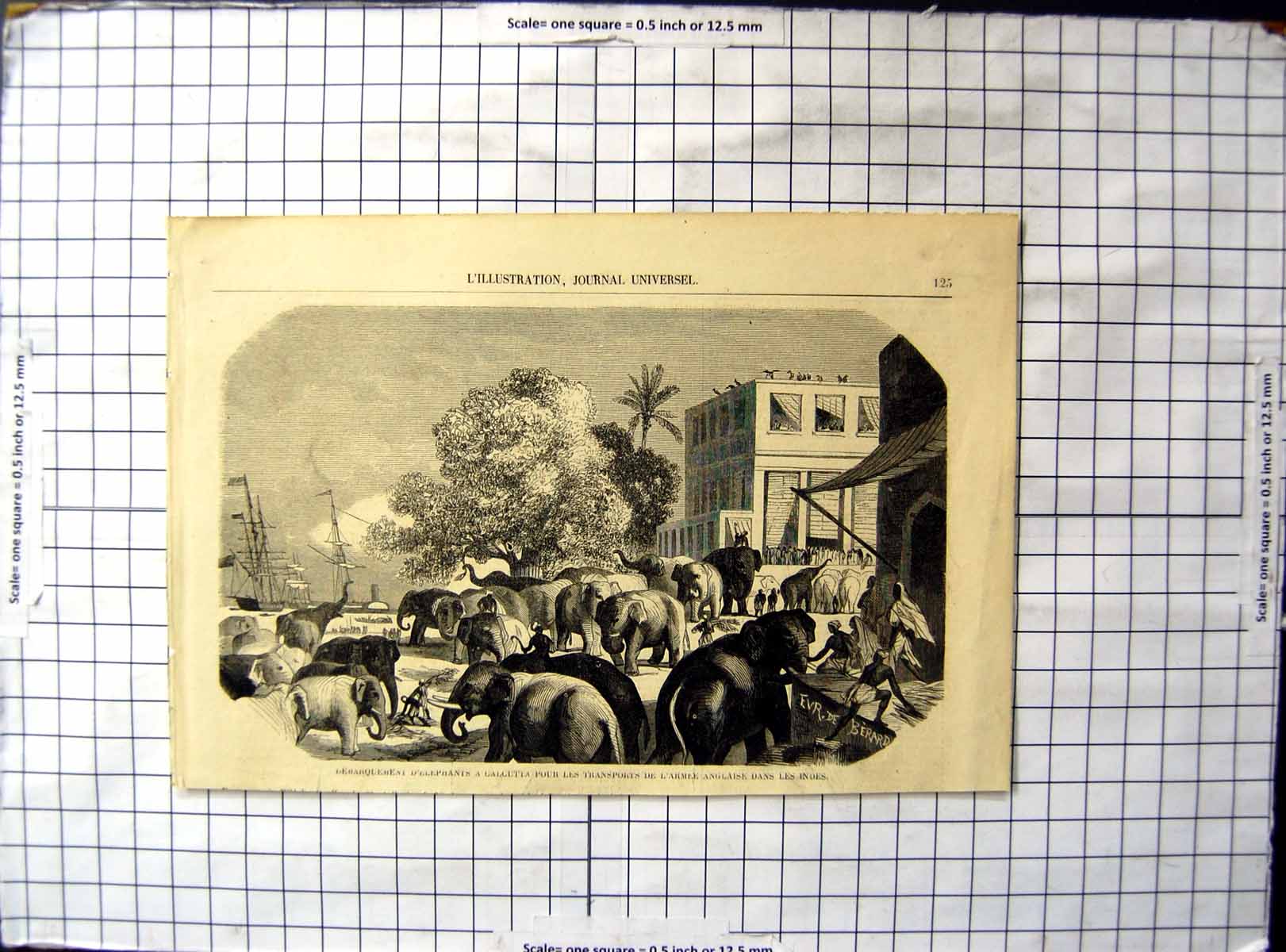 Old Antique Print Arrival Elephants Calcutta Transport English Army India