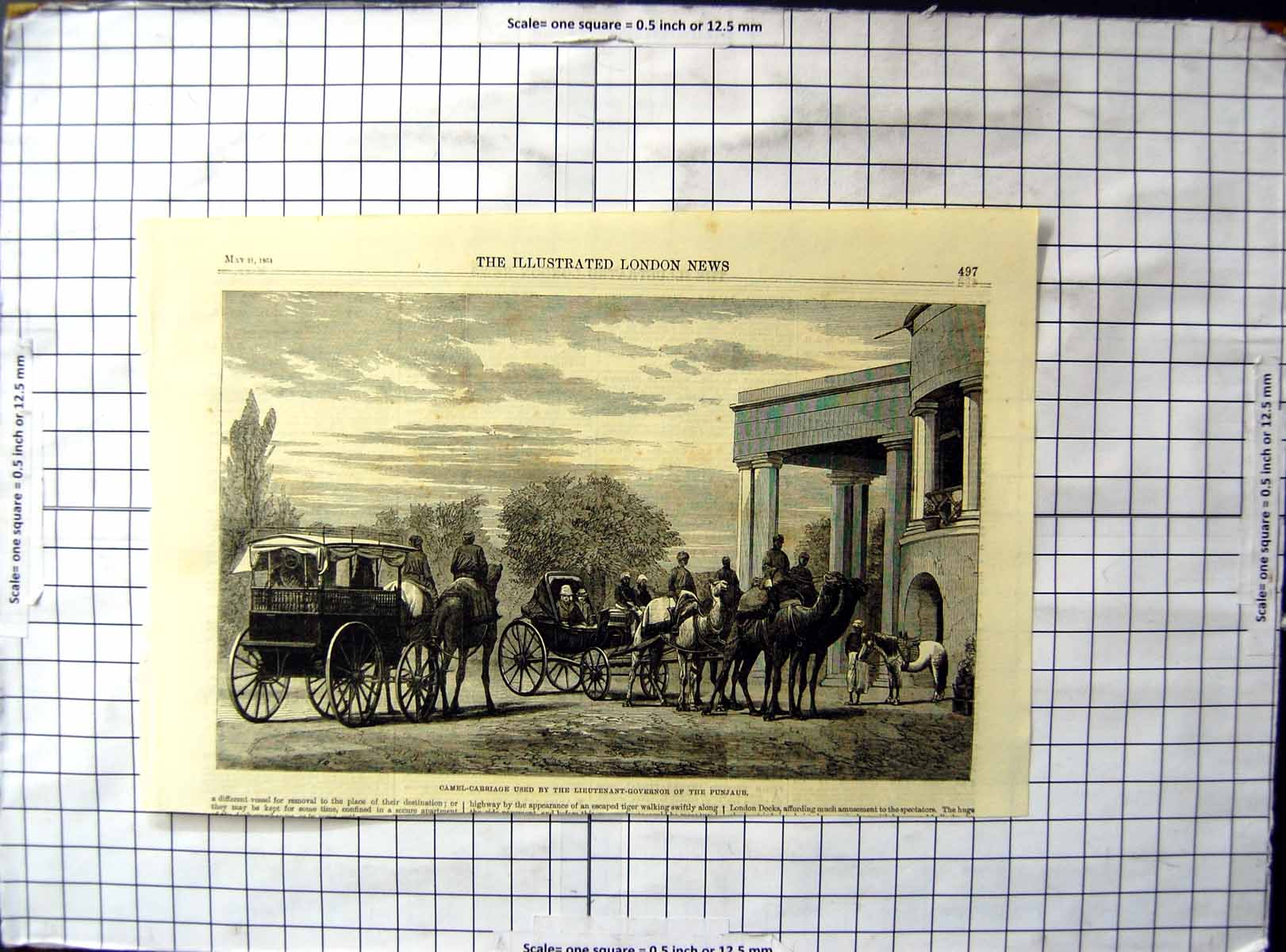 Original Old Antique Print Camel Carriage Used By Lieutenant Governor Punjaub