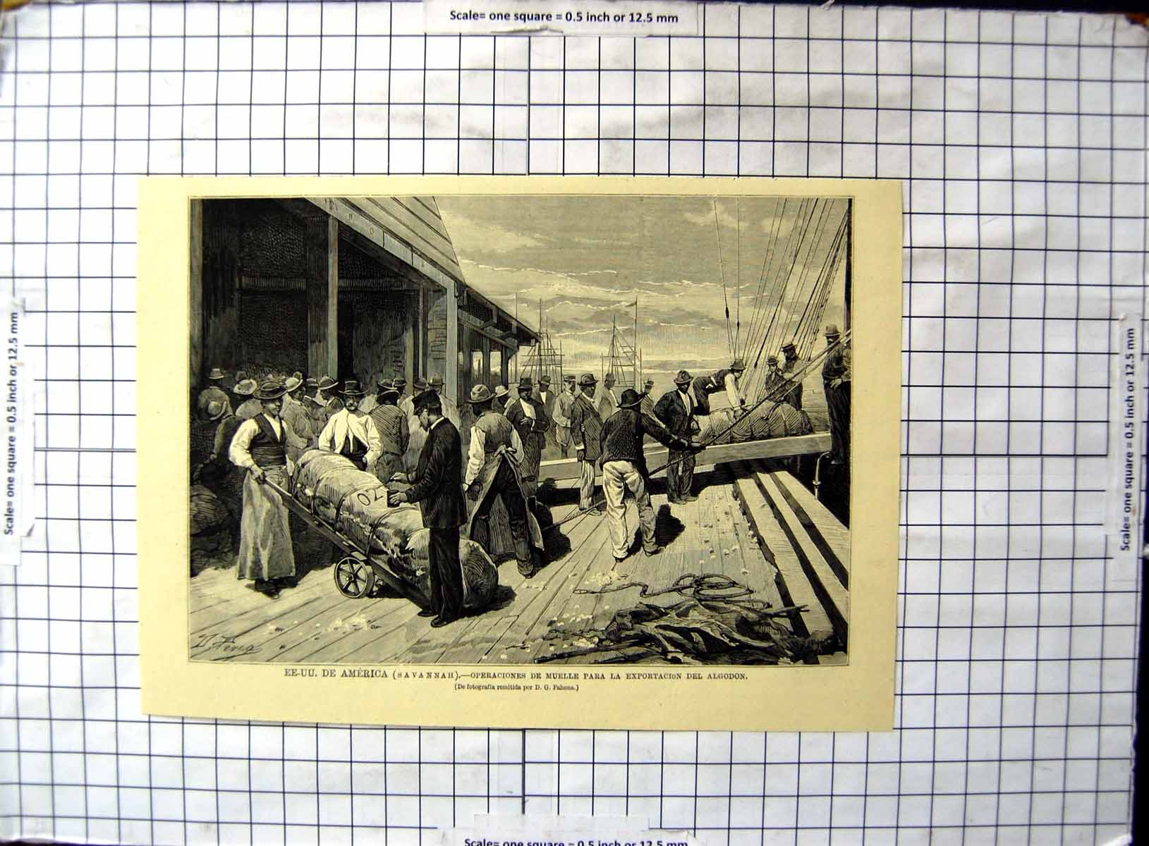 Original Old Antique Print Savannah America Operations Spring Exporting Cotton