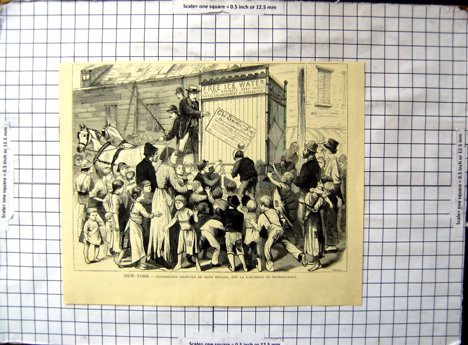 Antique Print New York Distribution Free Ice Water Encouragement Moderation