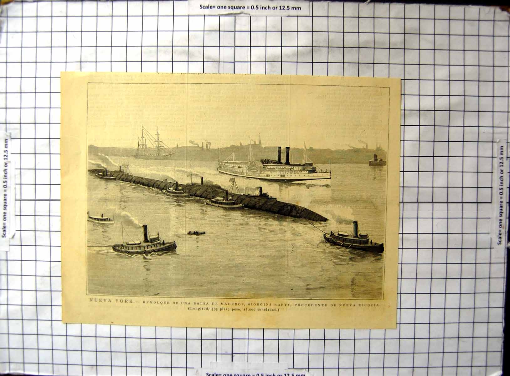 Original Old Antique Print New York Trailer Troopers Raft Nova Scotia