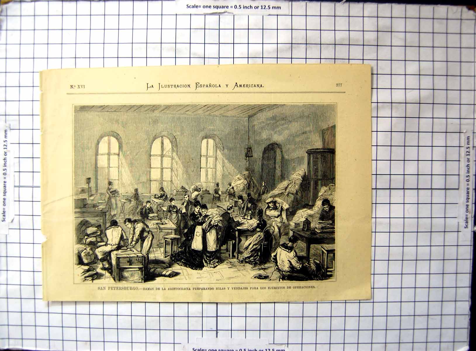 Old Print St Petersburg Ladies Aristocracy Preparing Bandages Operations