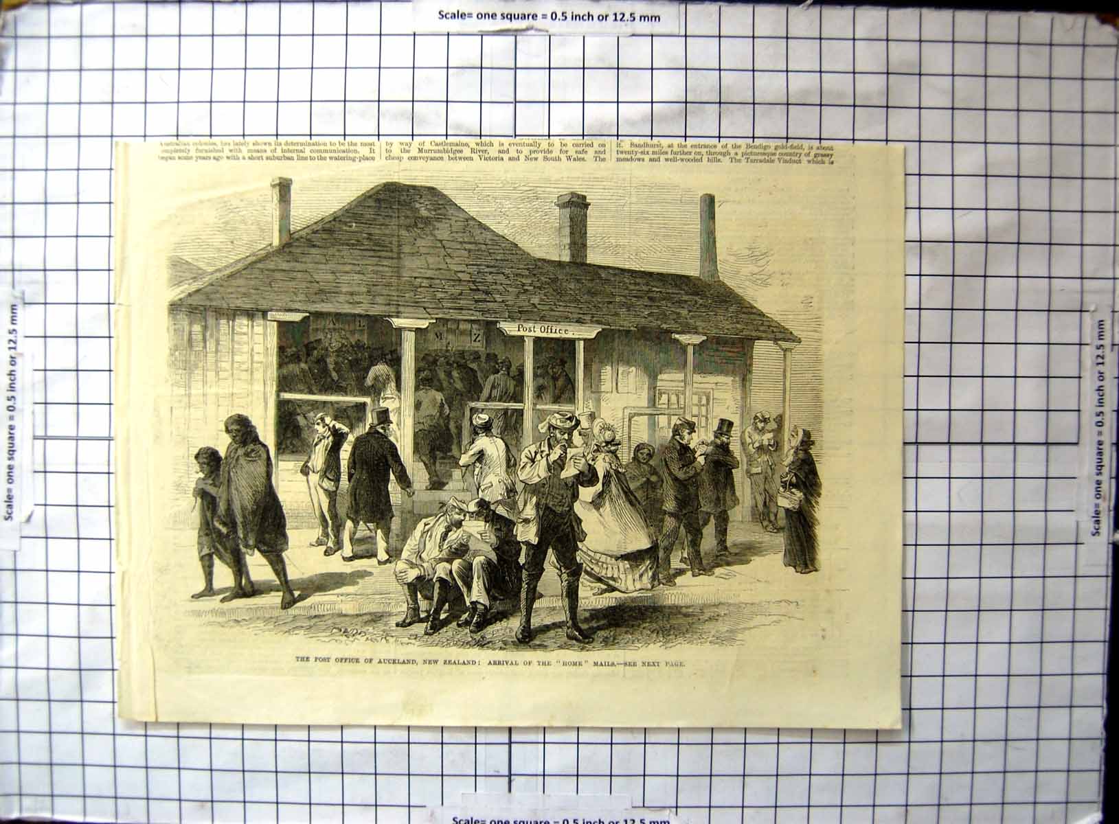 Original Old Antique Print Post Office Auckland New Zealand Arrival Home Mails