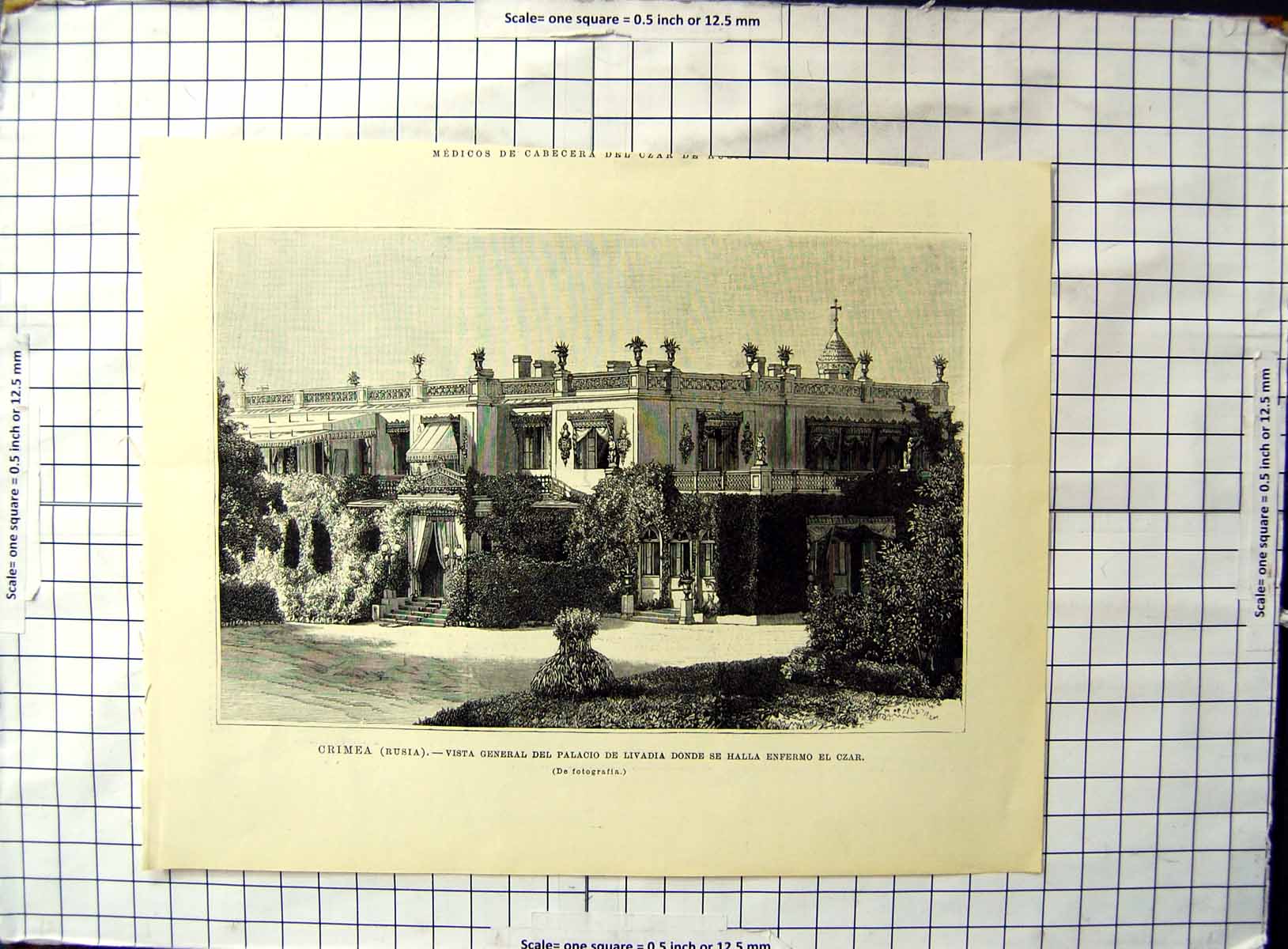 Antique Old Print Crimea Russia General View Palace Livadia Sick Czar Found