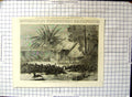 Original Old Antique Print Stampede Jackals Through Environs Calcutta