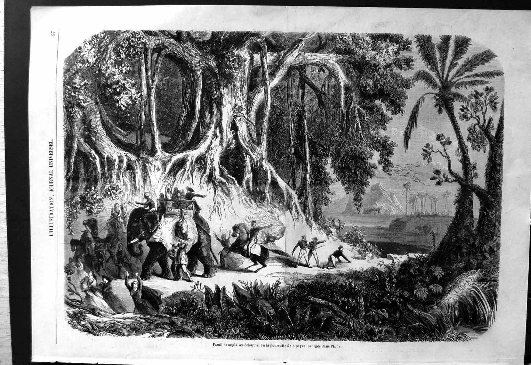 Old English Families Beyong Pursuit Cipayes India Elephant Camel Horse
