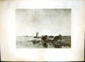 Antique Old Print Sunny Pastures Drinking Cattle Willem Maris Born Hague 1844