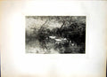 Old A Quiet Spot Ducks In A Pool Willem Maris Ducklings Calm Water 111J