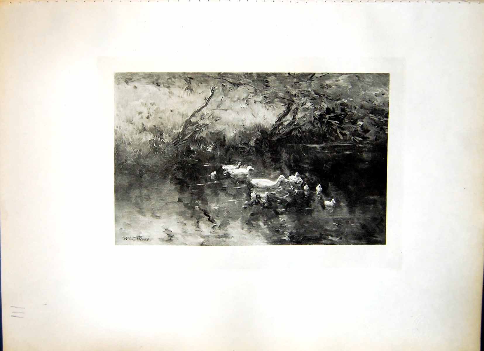 Old A Quiet Spot Ducks In A Pool Willem Maris Ducklings Calm Water 111J