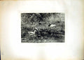 Old Ducks In Meadow Willem Maris Drake Ducklings Waterside Foliage 112J