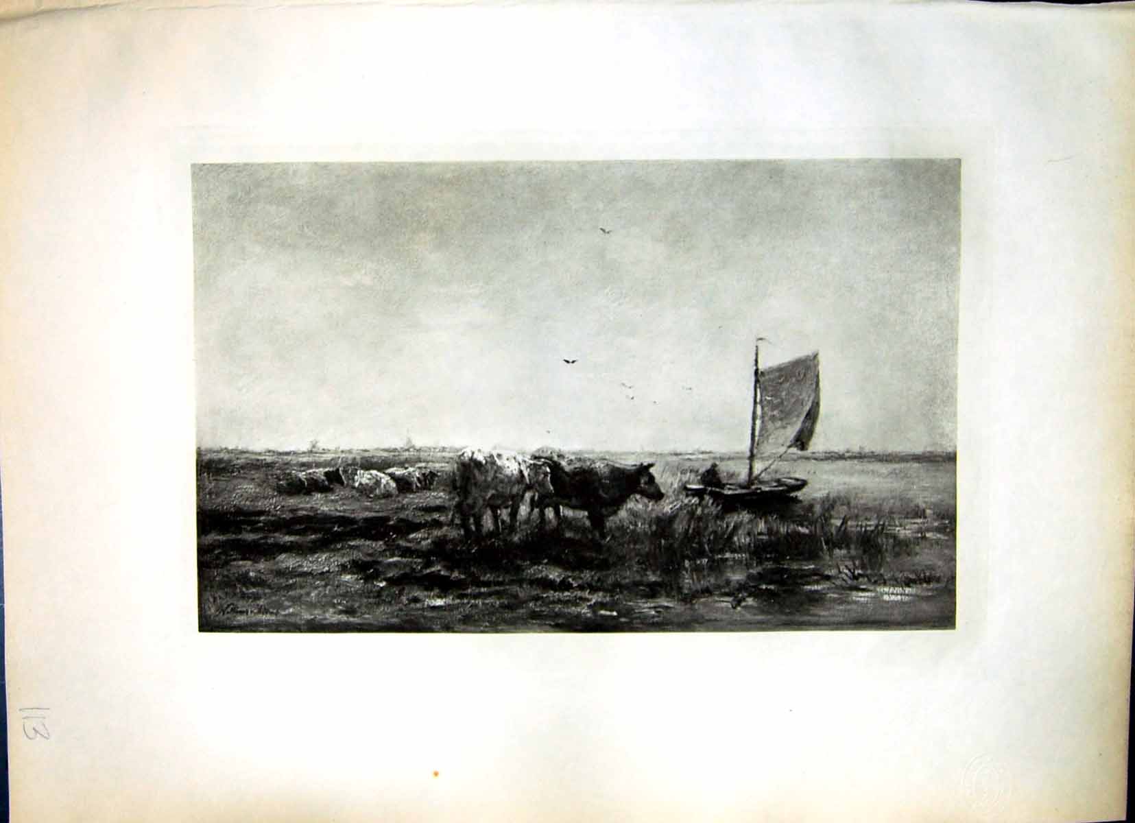 Old Print A Sultry Day Willem Maris Cattle Beside Waters Edge Sail Boat Sky 113J