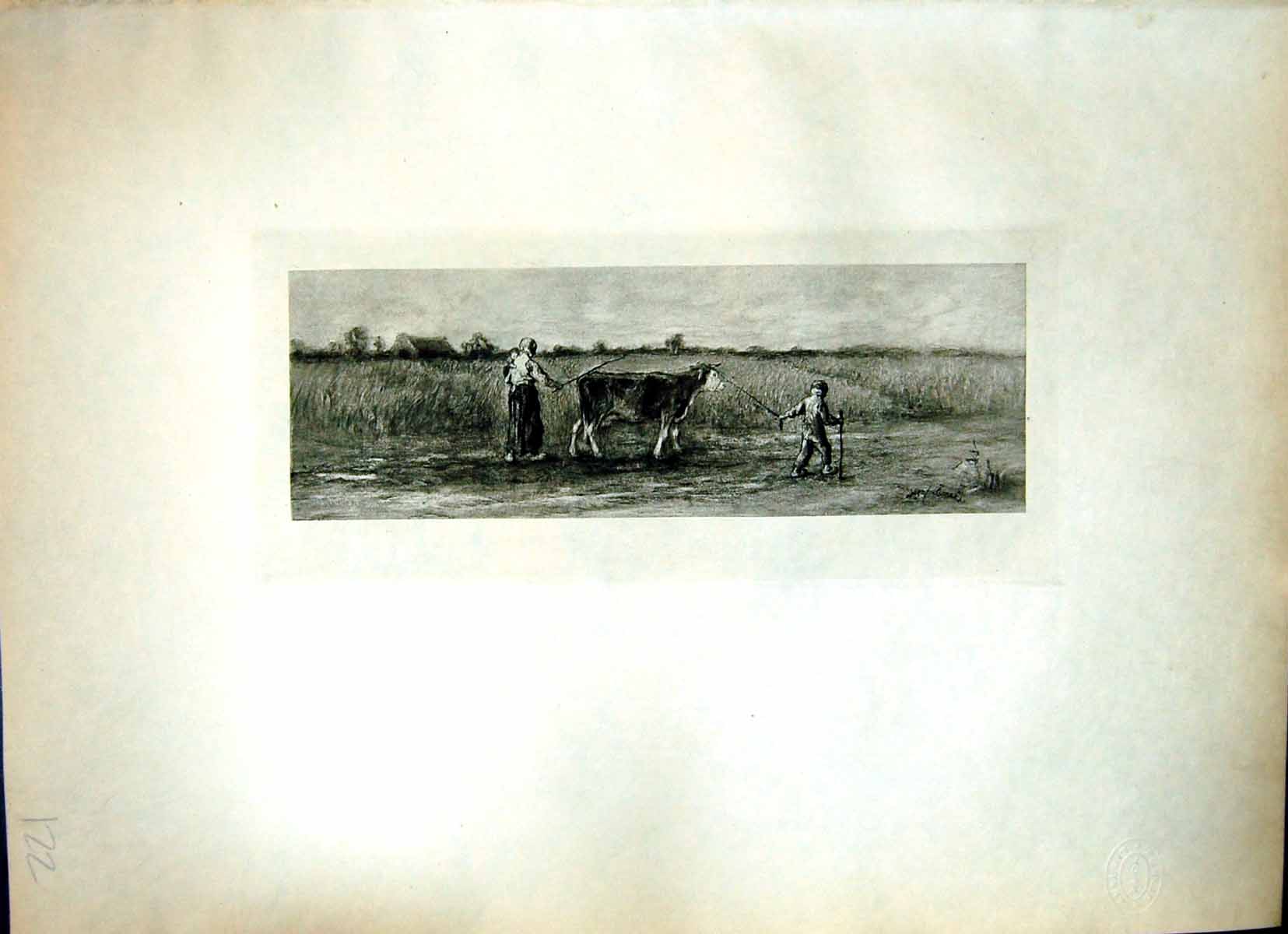 Old Going Home Josef Israels Boy Leading Bullock Mother Baby Field 122J