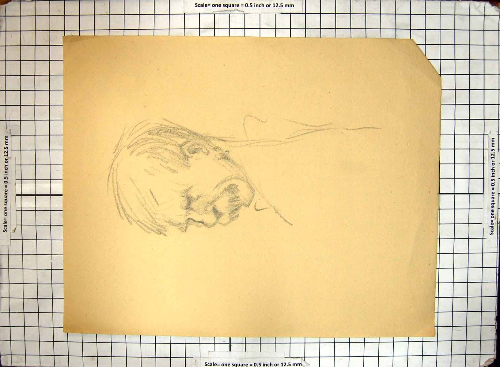 Original Old Antique Print Man Drawing Black And White Sketch Helen Mckie
