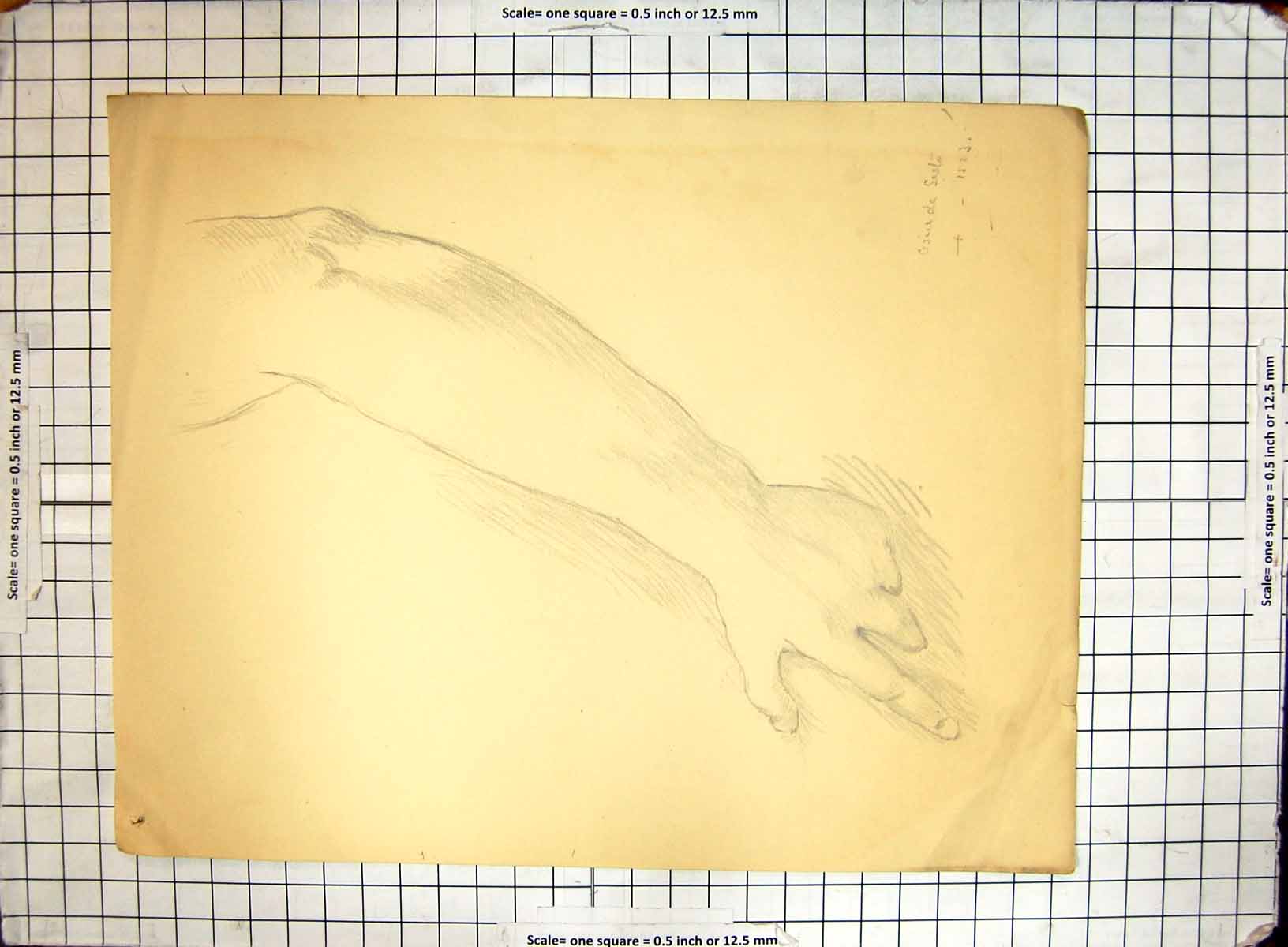 Antique Old Print Black And White Sketch Helen Mckie Drawing Arm Hand Fingers
