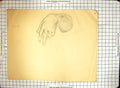 Old Black And White Sketch Helen Mckie Drawing Human Hand Arm Fingers