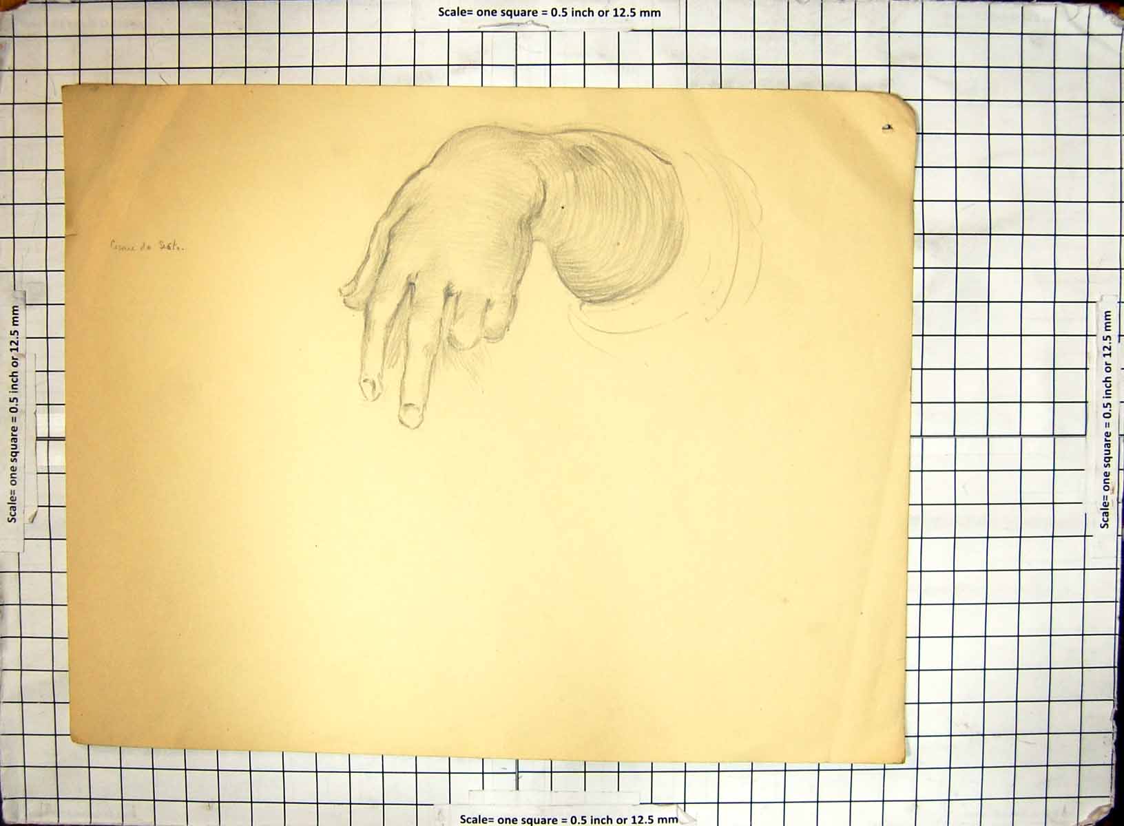 Old Black And White Sketch Helen Mckie Drawing Human Hand Arm Fingers
