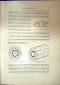 Old Print Armature Drum Winding Commutator End Rotating Field Coils 1908 20th