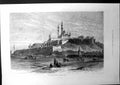Antique Old Print The Citadel Cairo Egypt Mosque Camels Hill Fortress 1881 19th