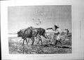 Antique Print Egypt As It Is Ploughing In Lower Egypt Sketch Montbard 1882 19th