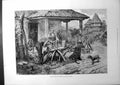 Old Print Shoeing Oxen And Horses At A Servian Smithy Farm-House Dog 1885 19th