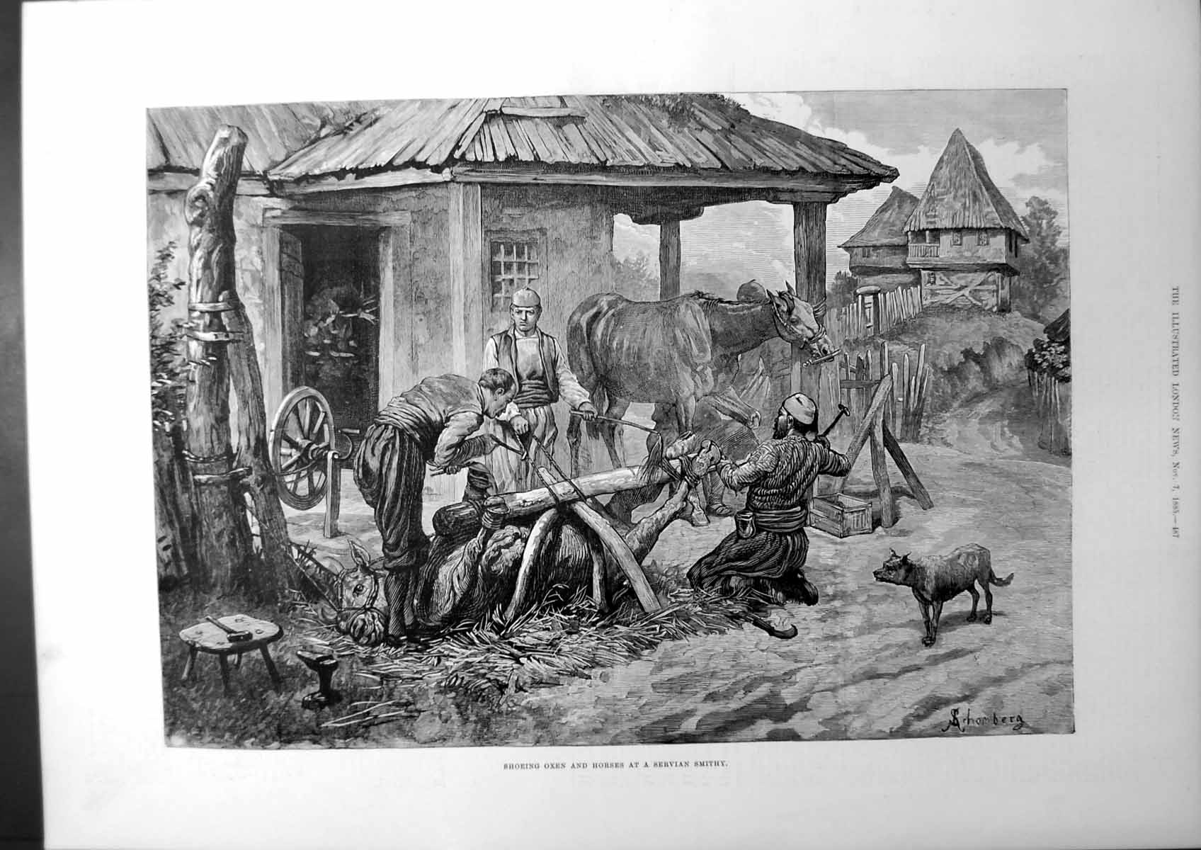 Old Print Shoeing Oxen And Horses At A Servian Smithy Farm-House Dog 1885 19th