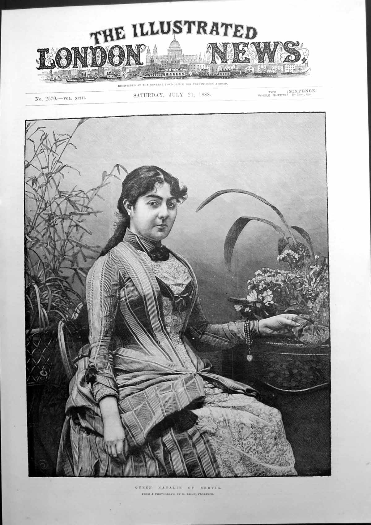 Antique Old Print Queen Natalie Servia Sketch From Photograph By G Brogi 1888