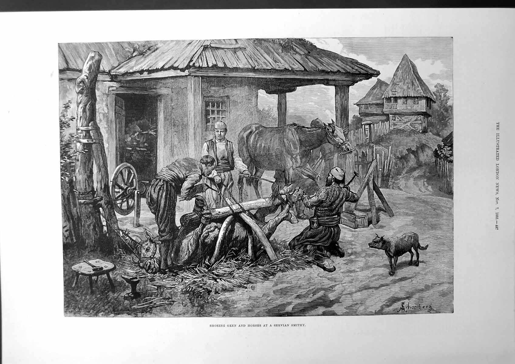 Old Shoeing Oxen And Horses At A Servian Smithy Farm-House Dog 1885Victorian