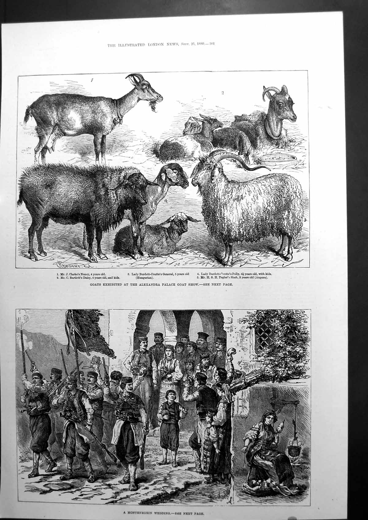 Antique Print A Monetenegrin Wedding Goats Exhibited Alexandra Palace 1880 19th