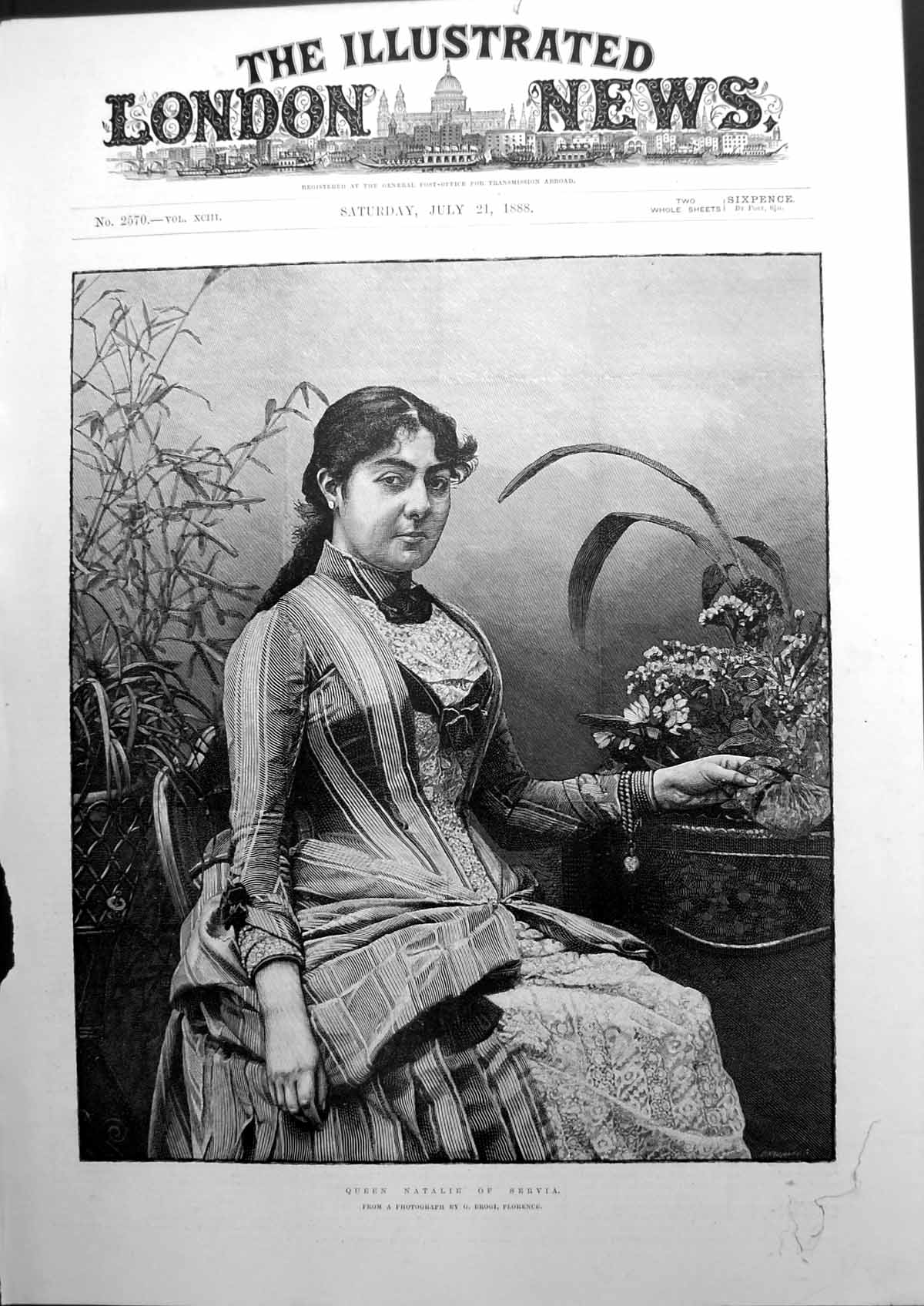 Antique Print Queen Natalie Servia Sketch From Photograph By G Brogi 1888