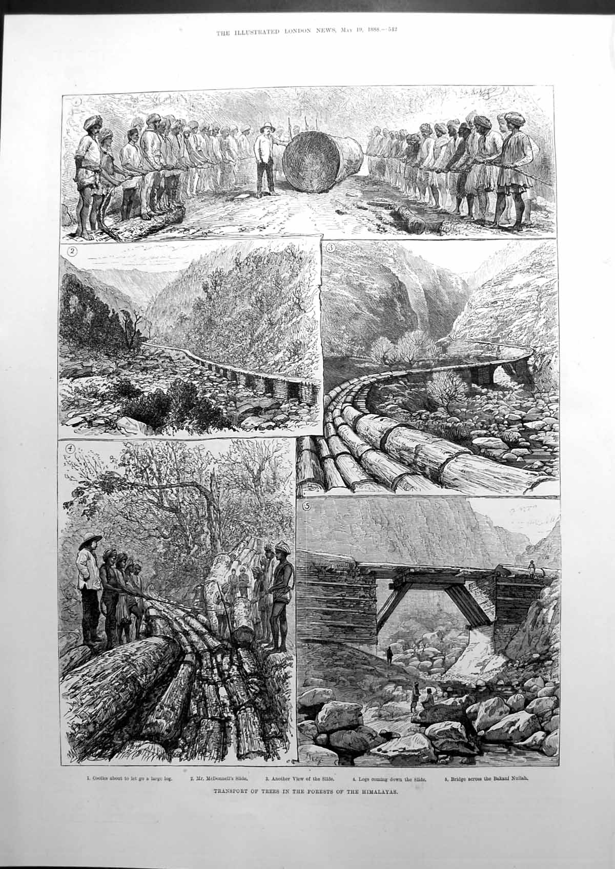 Antique Old Print Transport Trees In The Forests Himalayas Logs Slides 1888