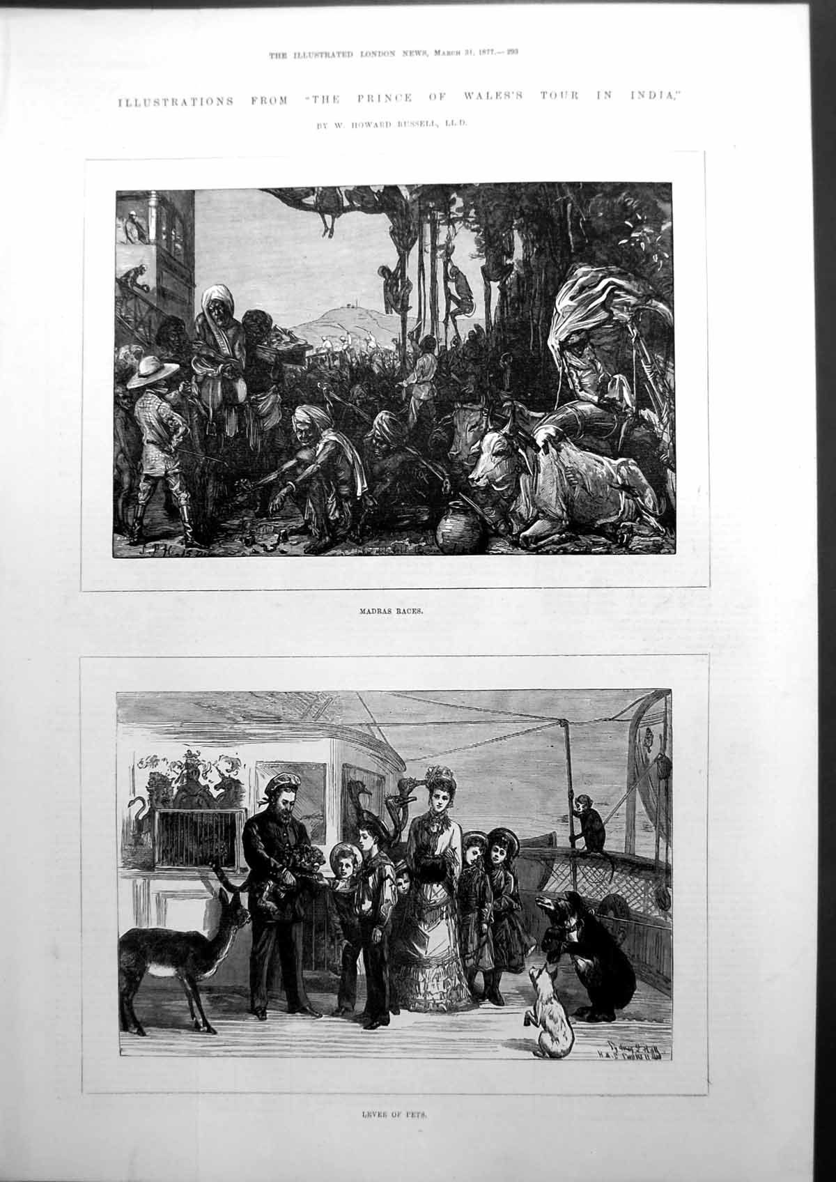 Old Print The Prince Wales Tour In India Illustrations Madras Races 1877 19th