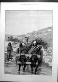Antique Print In The Plains Roumella Cattle Crossing River Sketch Cart 1885