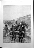 Antique Print In The Plains Roumella Cattle Crossing River Sketch Cart 1885