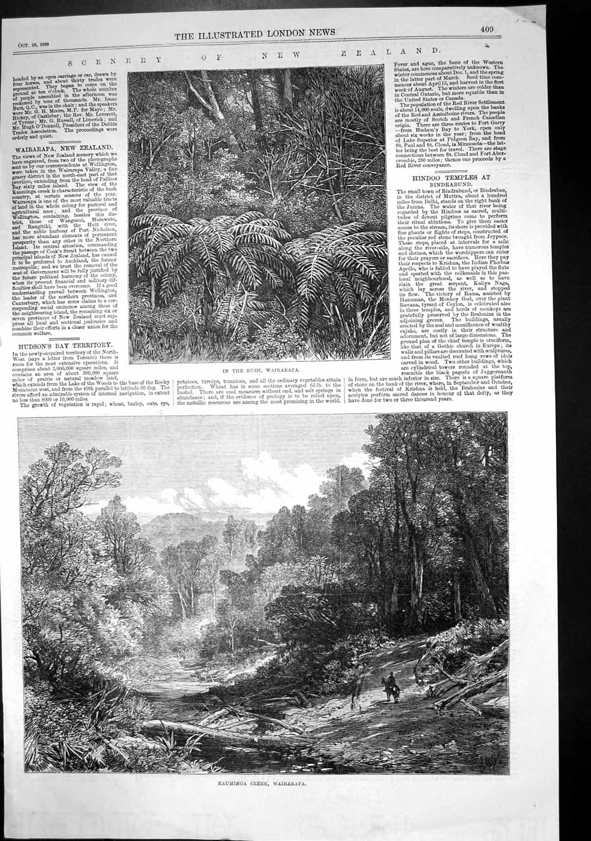 Antique Old Print New Zealand Bush Wairarapa Kauminga Creek Wairarapa 1869 19th