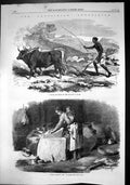 Old Print Abyssinian Expedition Native Ploughing Tigre Grinding Corn 1868 19th