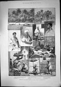 Antique Old Print Provinces Brazil Village Alagoas Packman Cotton Coast 1889