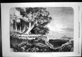 Antique Print Kabar Or Council War Madagascar Meeting Circle Outdoors 1863 19th