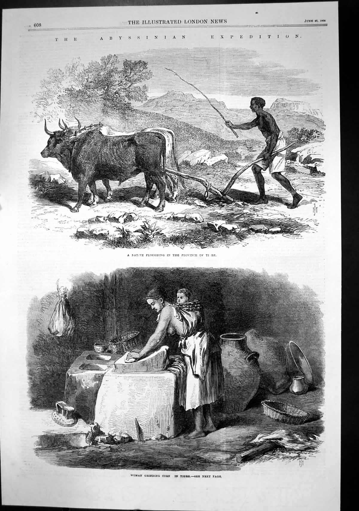 Antique Print Abyssinian Expedition Woman Grinding Corn Ploughing Oxen 1868