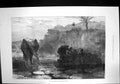 Original Old Antique Print African Elephant Shooting Moonlight Lake 1877 19th