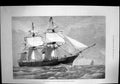 Old Antique Print New Flagship Hms Tourmaline West African Squadron 1876 19th