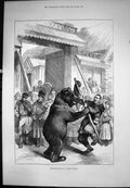 Antique Print Performing Bear Russian Village Violin Drums Spectators 1877 19th