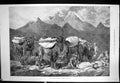 Old Antique Print Transporting Merchandise Eastern Turkestan Camels 1875 19th